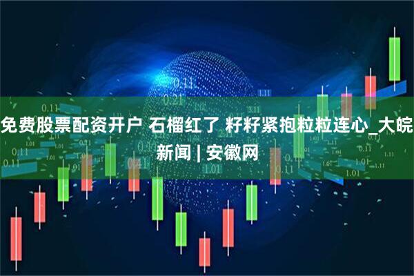 免费股票配资开户 石榴红了 籽籽紧抱粒粒连心_大皖新闻 | 安徽网