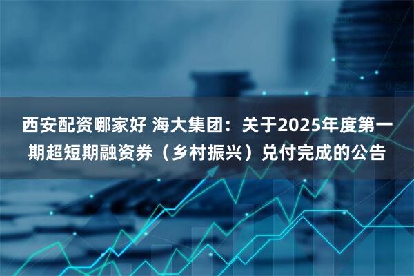 西安配资哪家好 海大集团：关于2025年度第一期超短期融资券（乡村振兴）兑付完成的公告