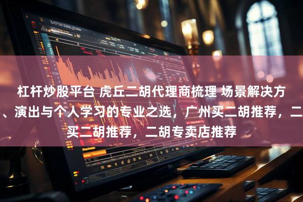 杠杆炒股平台 虎丘二胡代理商梳理 场景解决方案：适配教学、演出与个人学习的专业之选，广州买二胡推荐，二胡专卖店推荐