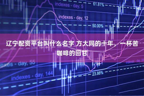 辽宁配资平台叫什么名字 方大同的十年，一杯苦咖啡的回甘